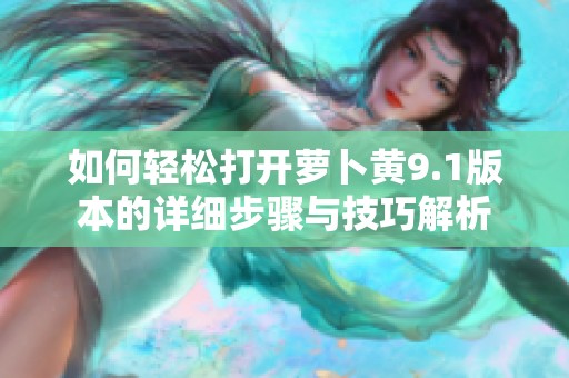 如何轻松打开萝卜黄9.1版本的详细步骤与技巧解析